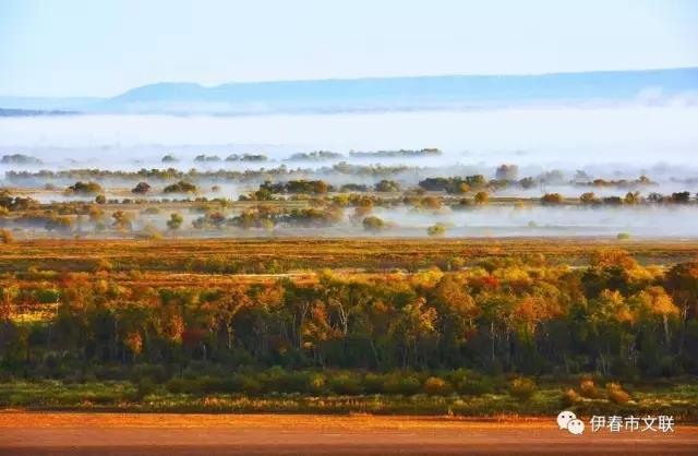 微信图片_20170918163345