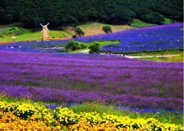 居高俯瞰 诗画沈阳