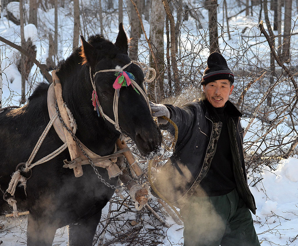 140015o91wxogwie57k5bs