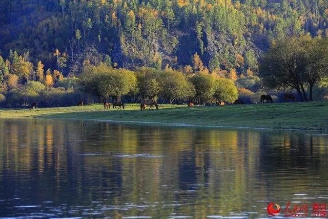 微信图片_20171009101117