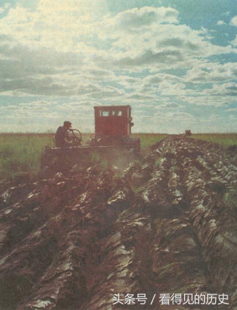 历史老照片：1978年黑龙江国营农场
