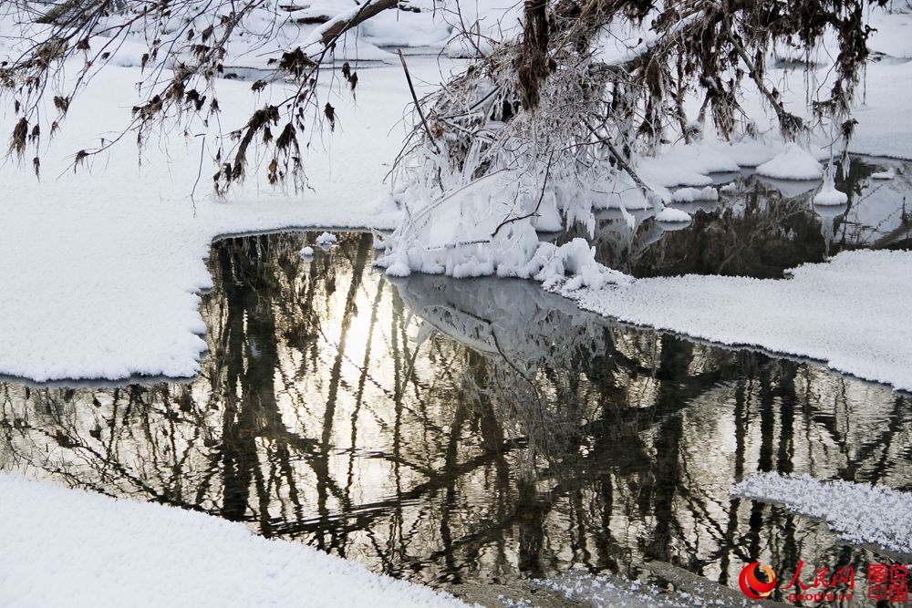 151847p45te6vz3kazvao3