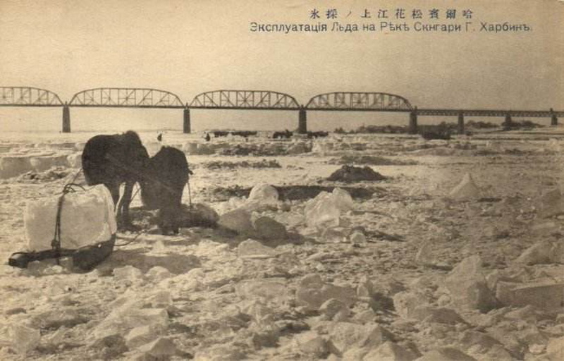 1b7b0004c8aaaa8e0eec