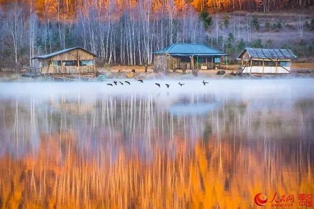 微信图片_20171011093032