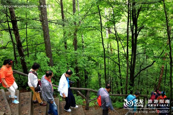一场穿越时空的旅行：镜泊湖火山地下森林