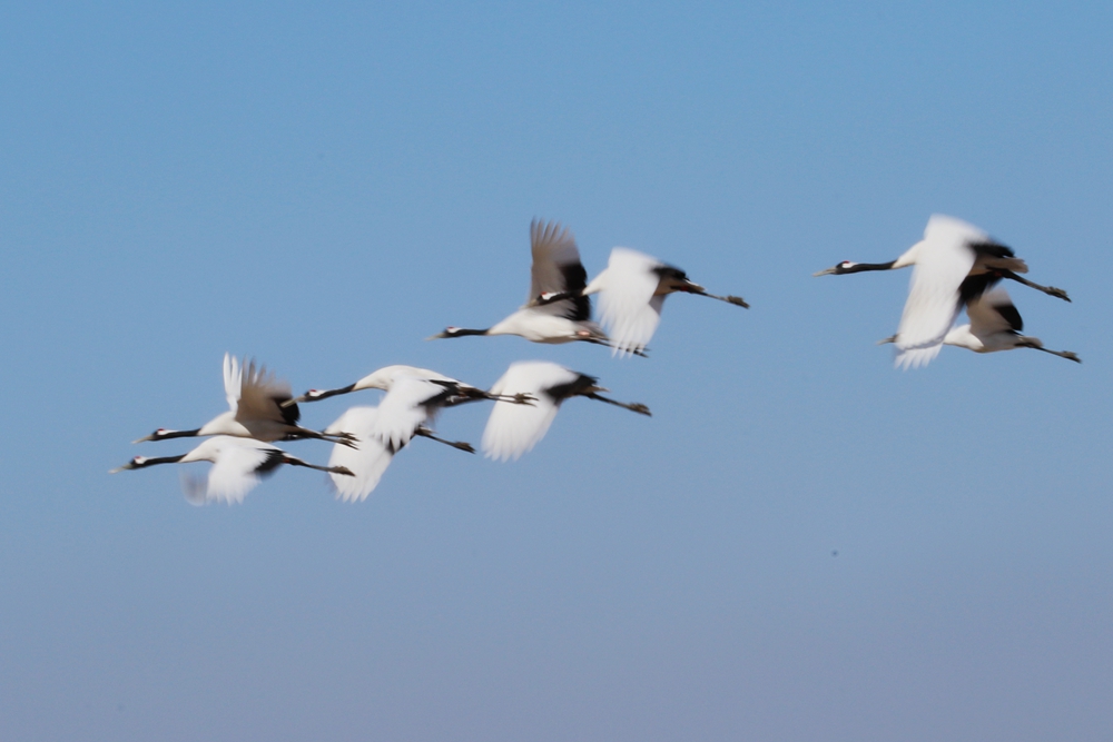 193010bqdcufnntckg2anq