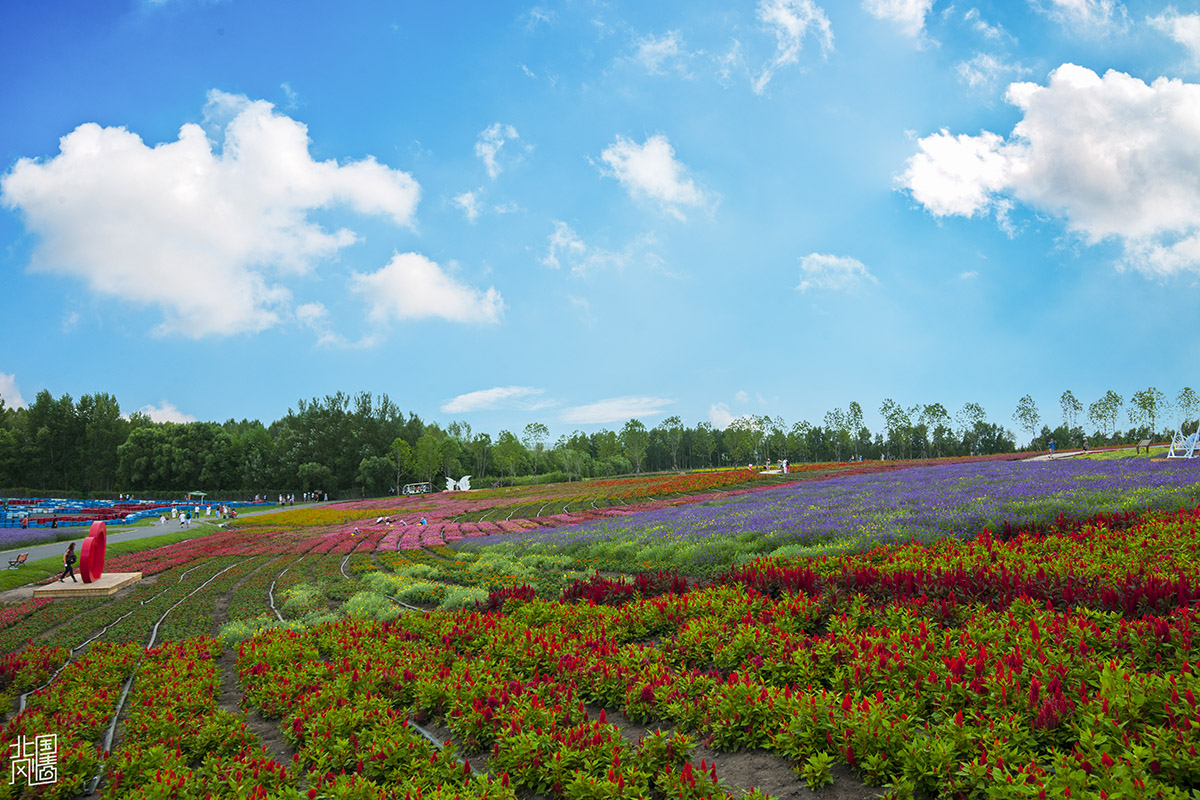 214951x2n6vwo86pik8gvn