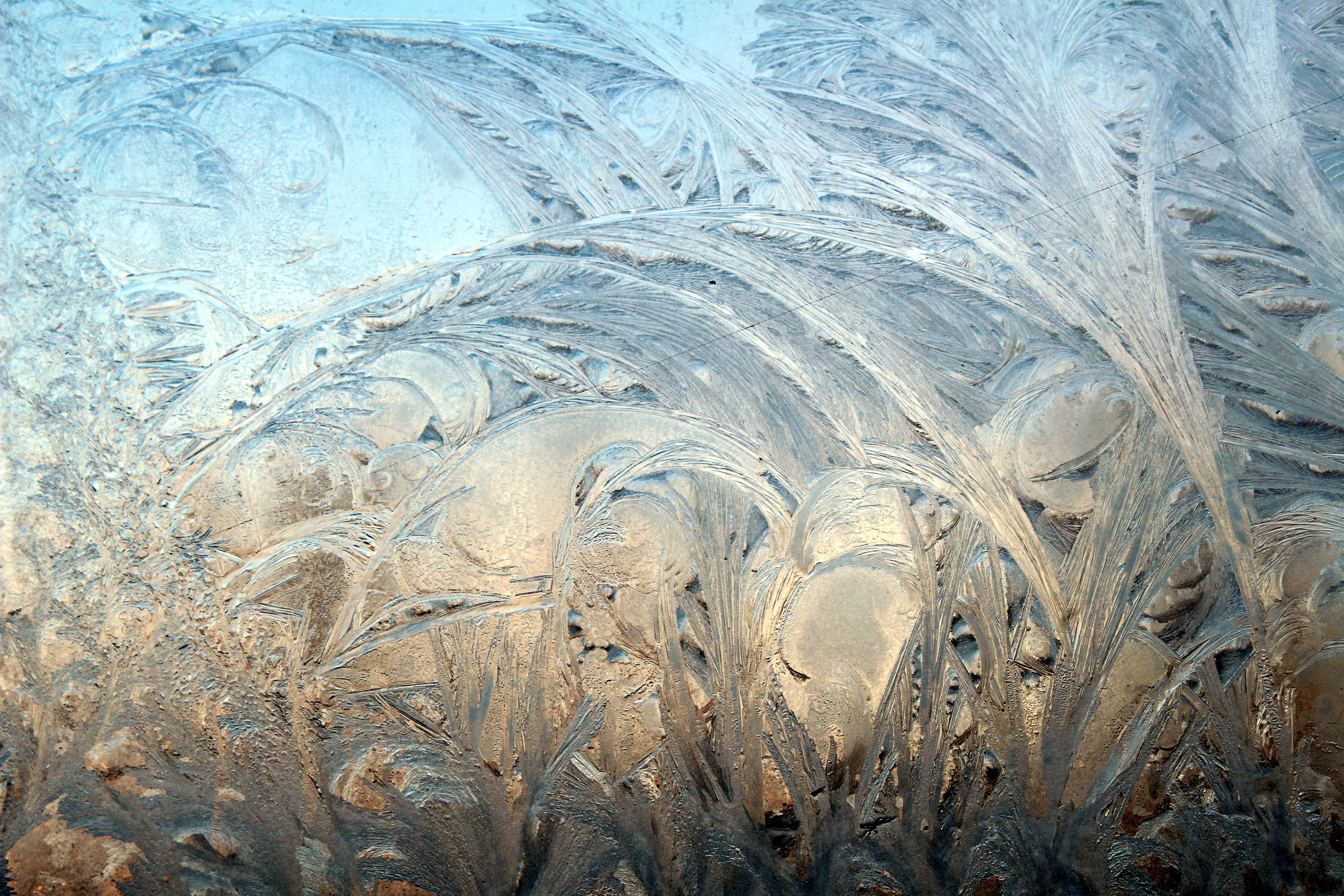 窗花，总能让人产生无尽的遐想。你看，这幅画面，好像盛开的朵朵鲜花，又好似长得十分茂盛的菜苗。