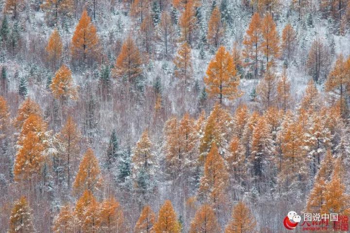 微信图片_20171107164755