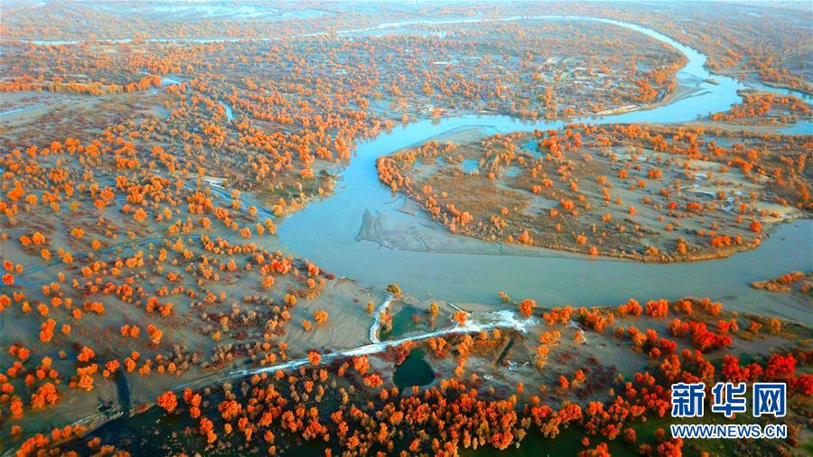 #（环境）（4）秋到塔里木