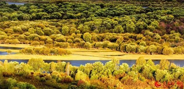 微信图片_20170921171255