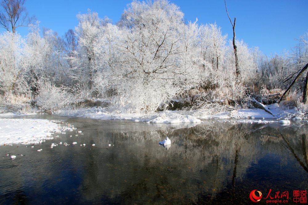 151816llhi9941rbhf4djx