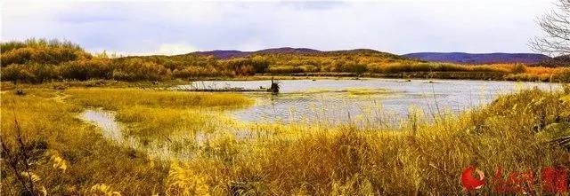 微信图片_20171009100913