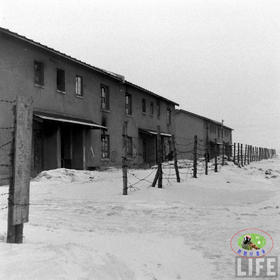 48年辽沈大战前的沈阳奉天的景象【二】 - 沉默的麻雀 - 沉默的麻雀的博客