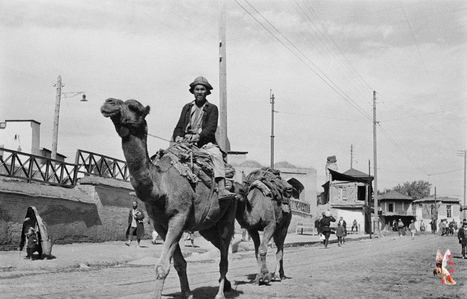 20世纪50年代的塔什干及周边景观 - 沉默的麻雀 - 沉默的麻雀的博客