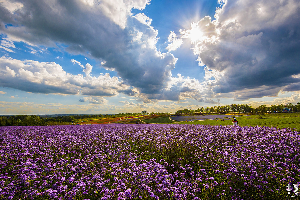 214858q44714o2dowlh72y