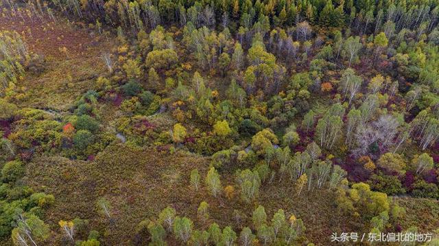 高空镜头下的伊春之美