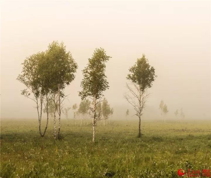 微信图片_20170925162945