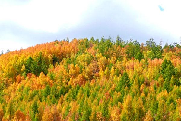 原来这就是黑龙江的美景！