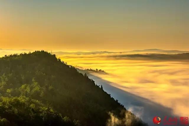 微信图片_20170726164044