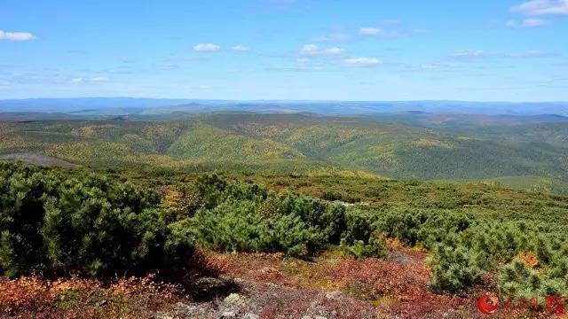 微信图片_20170921171703