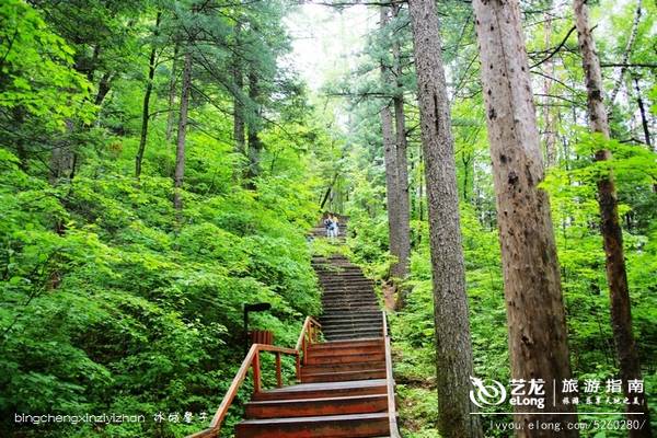 一场穿越时空的旅行：镜泊湖火山地下森林