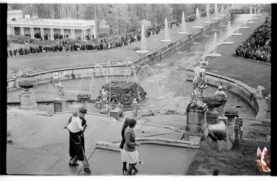 二战后列宁格勒的社会影像 - 沉默的麻雀 - 沉默的麻雀的博客