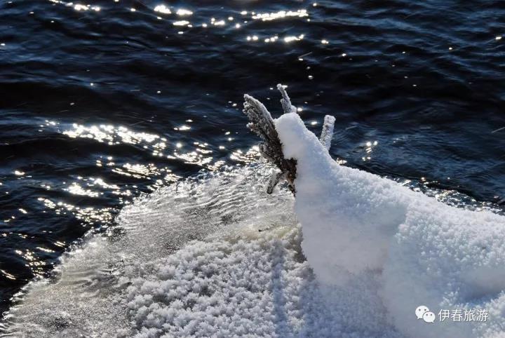 微信图片_20171122155055