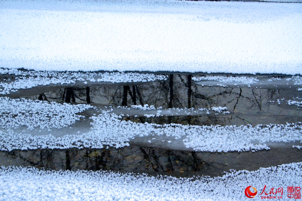 151848wznn4o4g264264d7