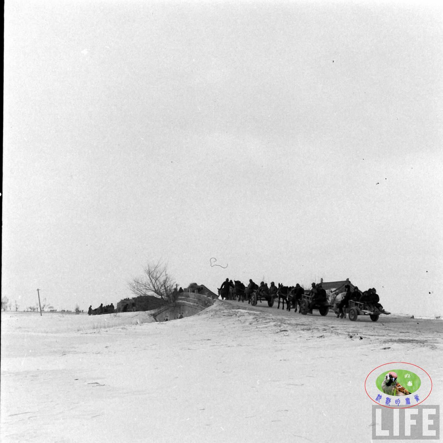 48年辽沈大战前的沈阳奉天的景象【二】 - 沉默的麻雀 - 沉默的麻雀的博客