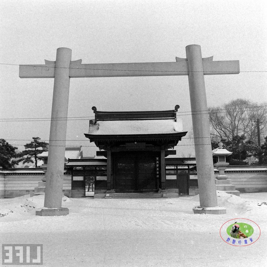 48年辽沈大战前的沈阳奉天的景象【二】 - 沉默的麻雀 - 沉默的麻雀的博客