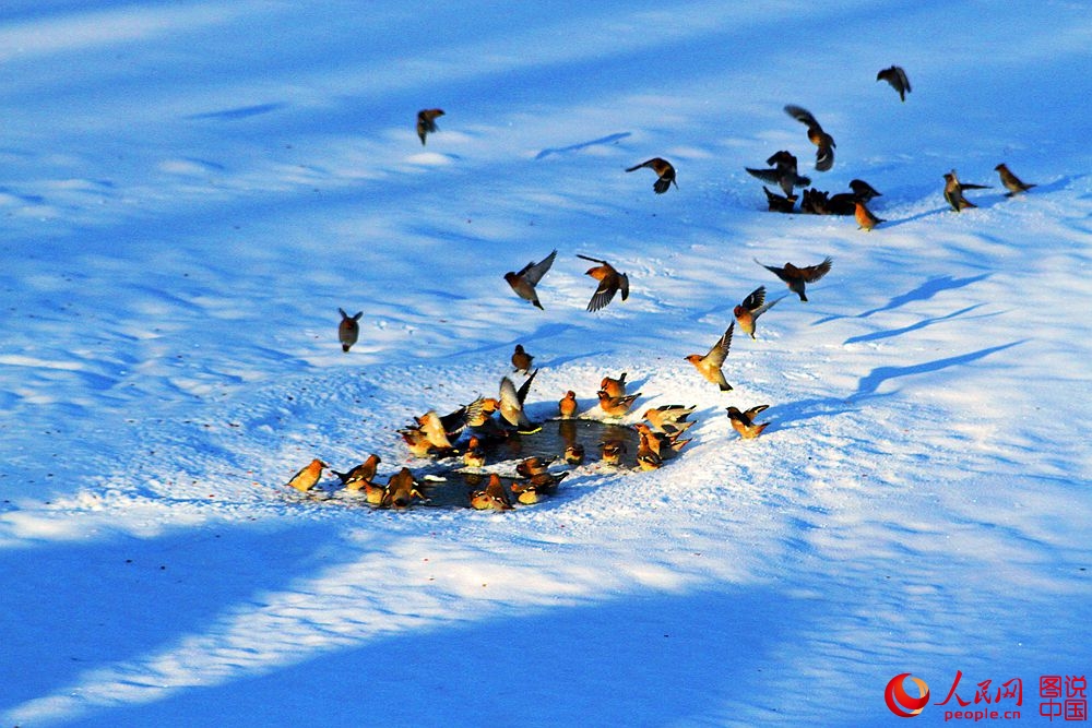 161917jmxxy73e0v7qimny