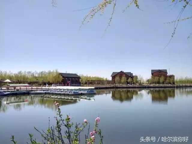 哈尔滨新景：江河之间有一座“莲花岛”，站在58米高的观音脚下