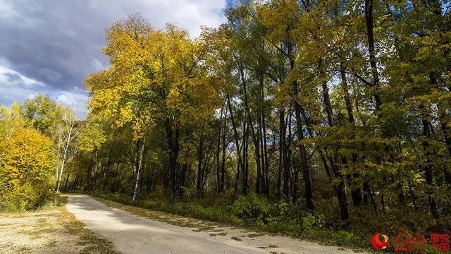 微信图片_20170928170033