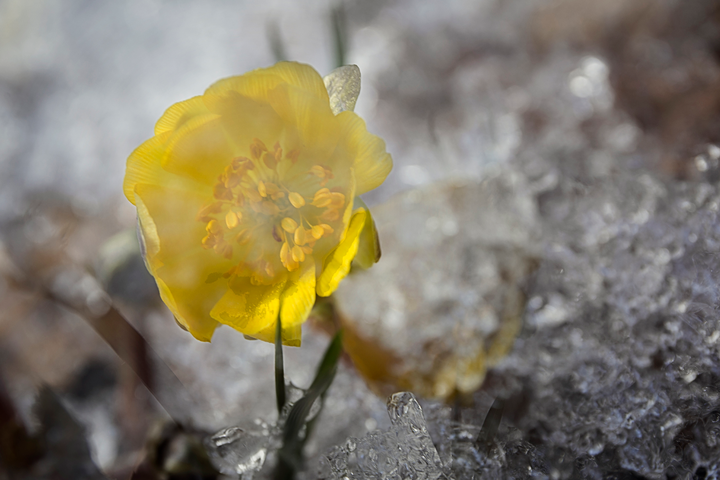 QQ截图20170406112905