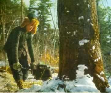 50年代的黑龙江林区老照片