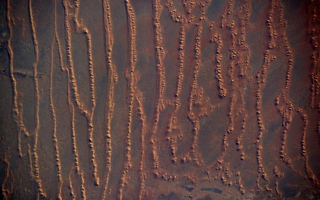 jrs电脑直播_极速体育无插件直播_jrs直播极速体育都见过，这样的jrs电脑直播_极速体育无插件直播_jrs直播极速体育你没见过吧！