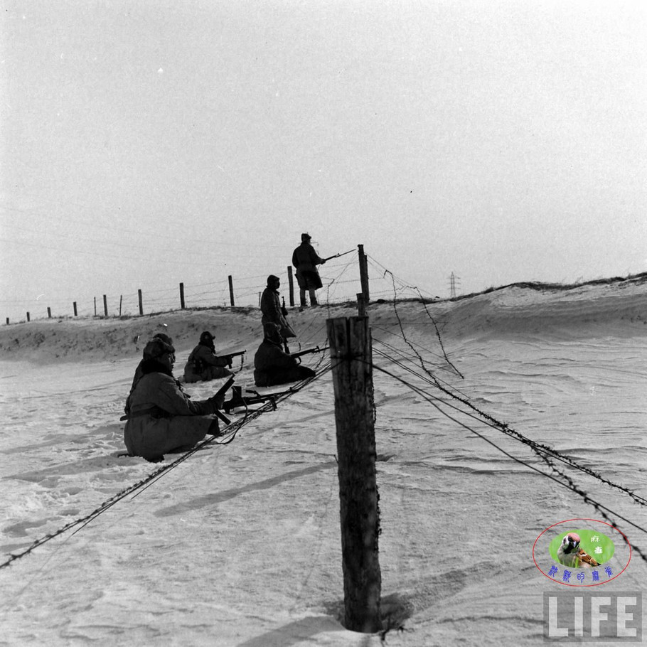 48年辽沈大战前的沈阳奉天的国军【六】 - 沉默的麻雀 - 沉默的麻雀的博客