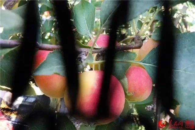 微信图片_20170921171103