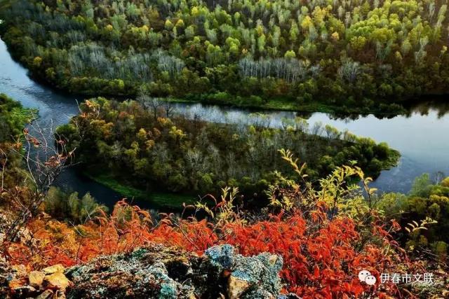 微信图片_20170918163343