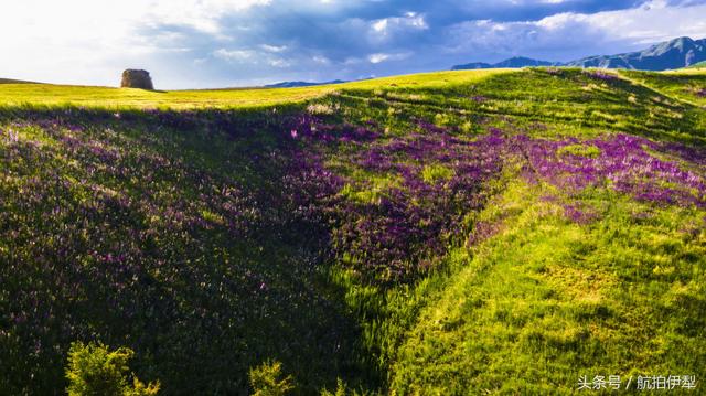 jrs电脑直播_极速体育无插件直播_jrs直播极速体育避暑山庄