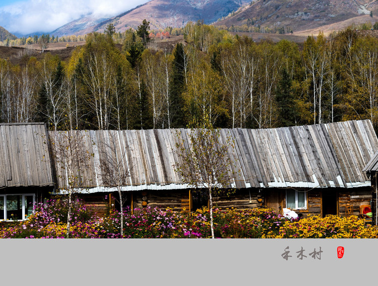 6420554420161206001801052_640