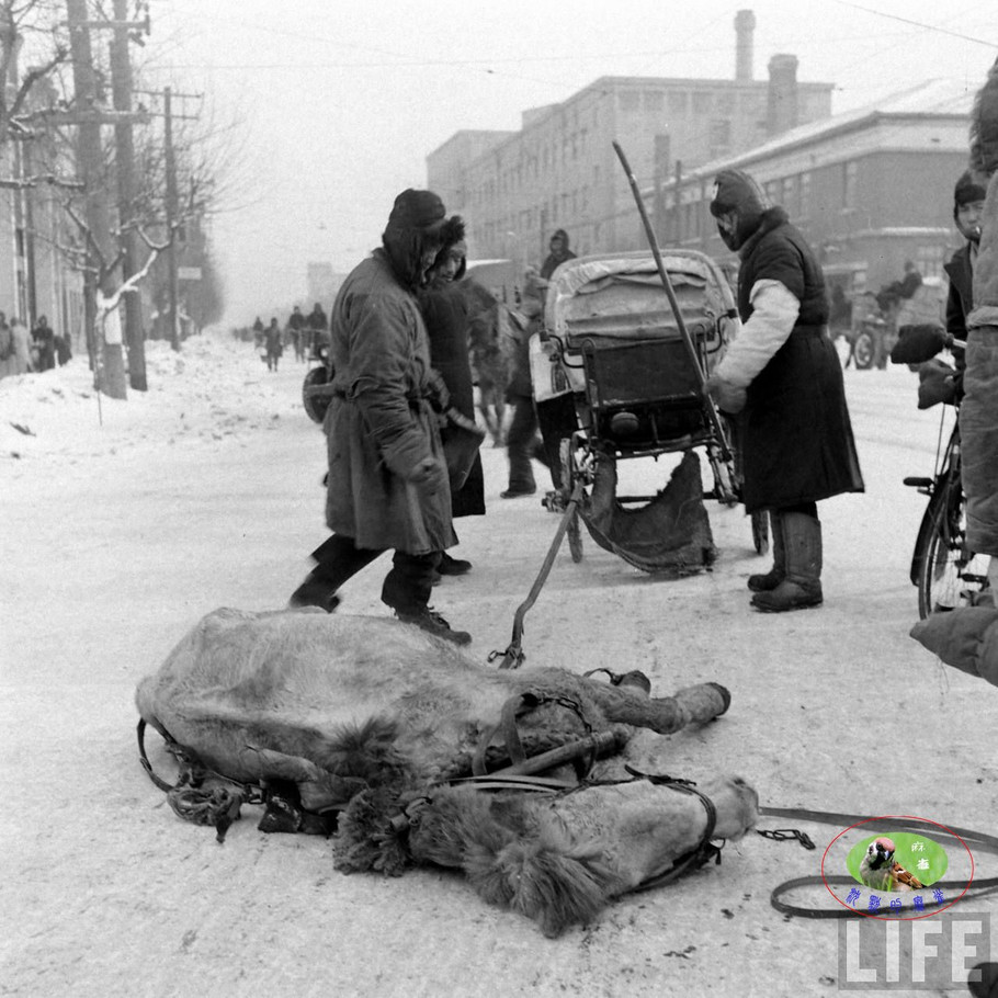 48年辽沈大战前的沈阳奉天的景象【一】 - 沉默的麻雀 - 沉默的麻雀的博客