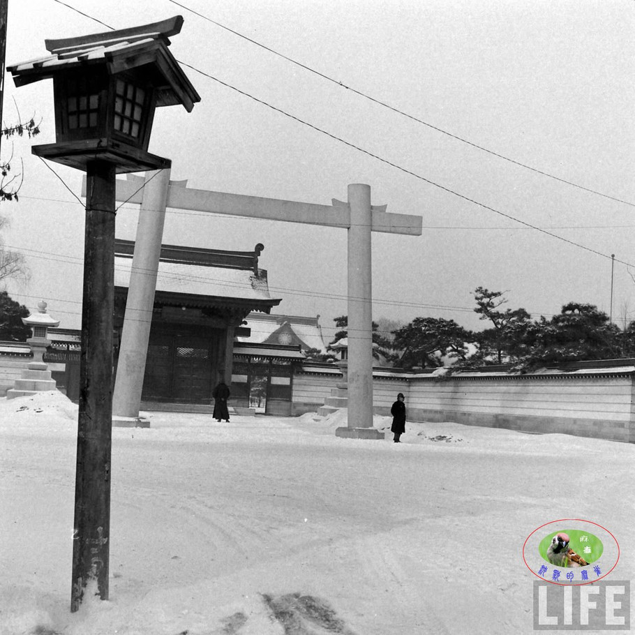 48年辽沈大战前的沈阳奉天的景象【二】 - 沉默的麻雀 - 沉默的麻雀的博客