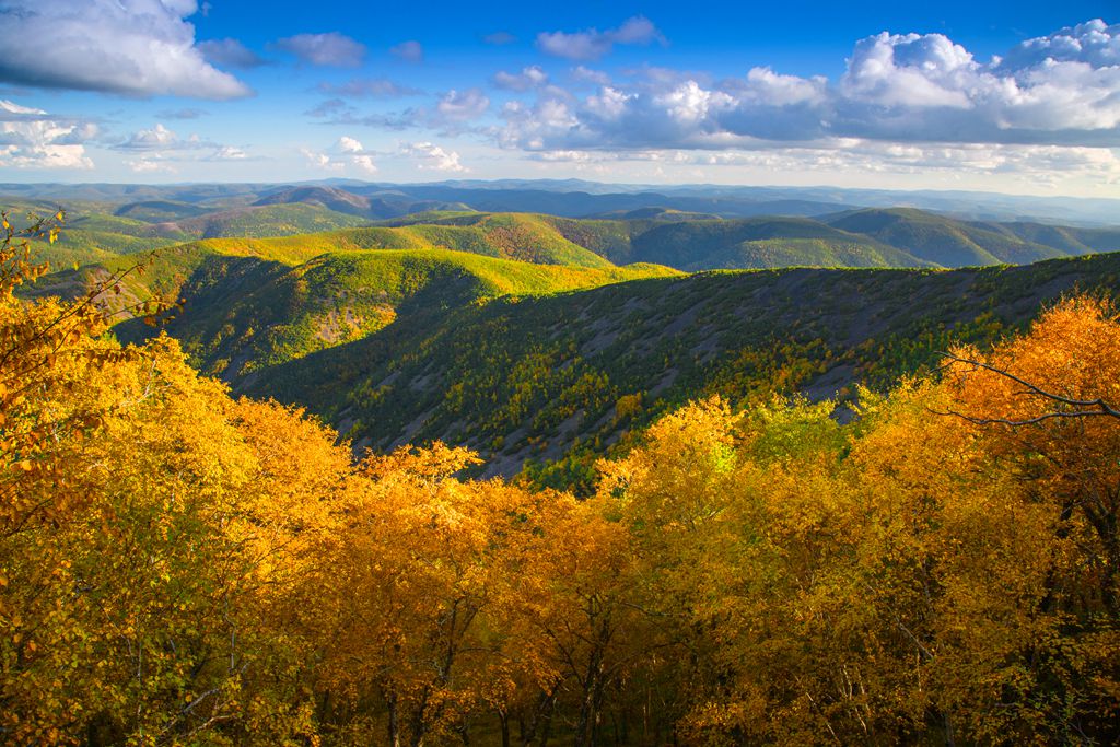微信图片_20170906102221