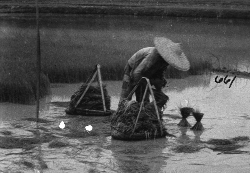 三十年代广西社会人文影像【下】 - 沉默的麻雀 - 沉默的麻雀的博客