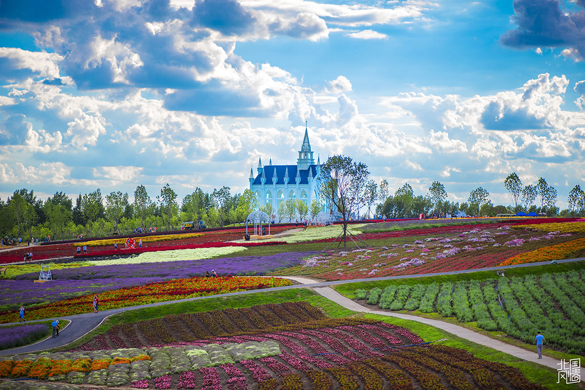 215234mcu6yq6aqift2y4w