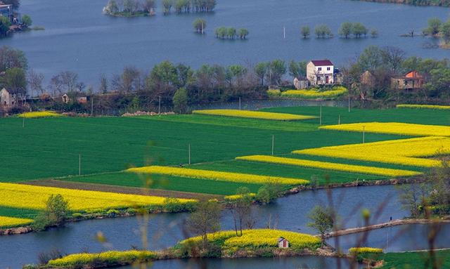 鸟瞰江城 生态宜居