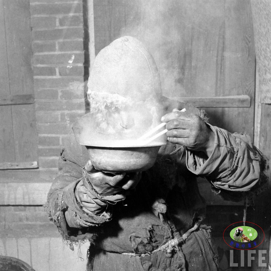 48年辽沈大战前的沈阳奉天的景象【三】 - 沉默的麻雀 - 沉默的麻雀的博客