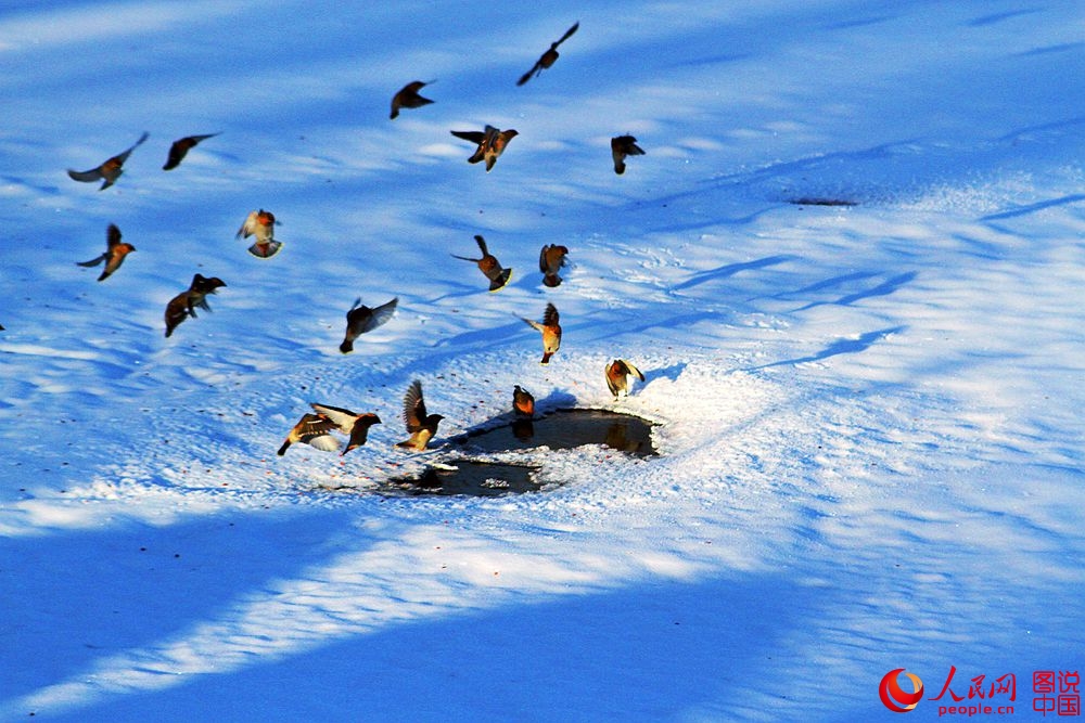 161917r9gb1kwwb2j962sg